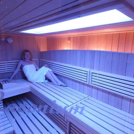 酒店 Schweizer Hof Thermal Und Vital (adults Only) 巴特法兴格